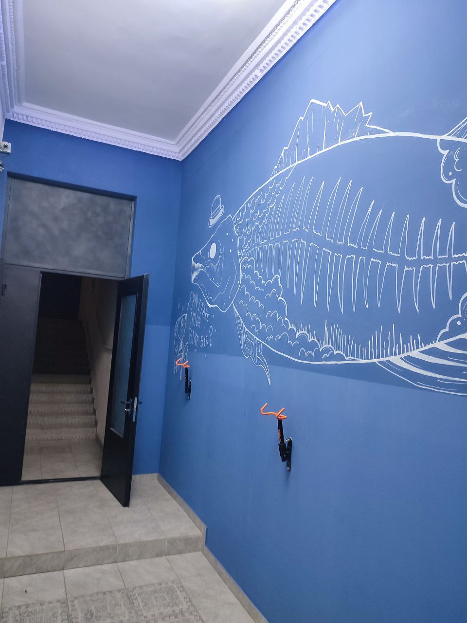 Двухуровневая квартира в историческом центре, Александровский пр-т, «Книжка»