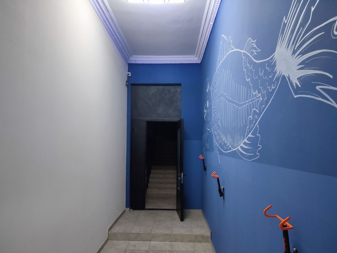 Двухуровневая квартира в историческом центре, Александровский пр-т, «Книжка»