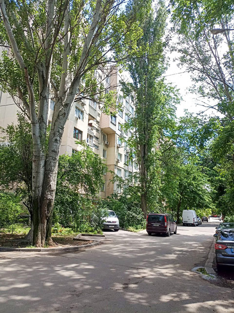 Three-room apartment on st. Glodan family (Ilf and Petrova street), 3/9 this. cooperative house